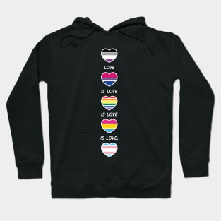 Love is Love Pride LGBT Asexual Bisexul Pansexual Transgender Hoodie